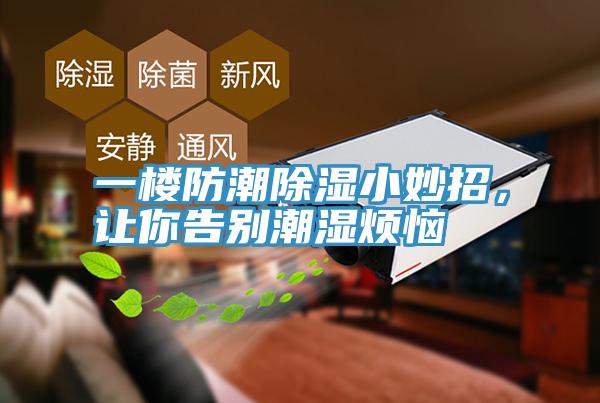 一樓防潮除濕小妙招，讓你告別潮濕煩惱