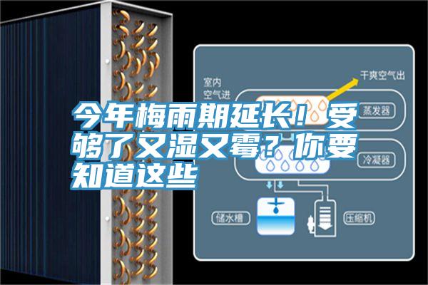 今年梅雨期延長！受夠了又濕又霉？你要知道這些