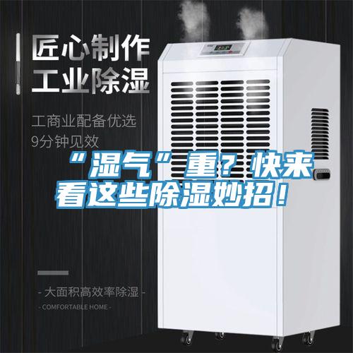 “濕氣”重？快來看這些除濕妙招！