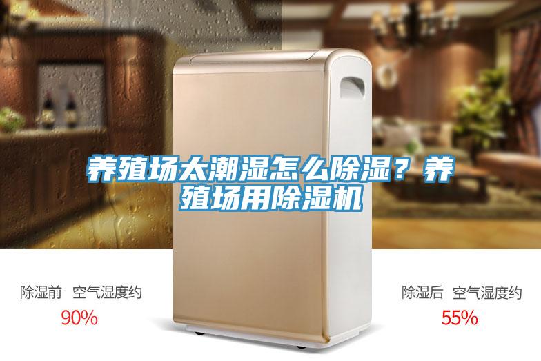 養殖場太潮濕怎么除濕？養殖場用除濕機