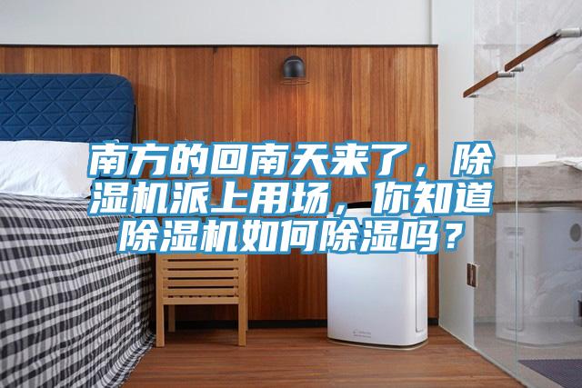 南方的回南天來了，除濕機(jī)派上用場(chǎng)，你知道除濕機(jī)如何除濕嗎？