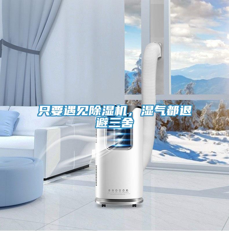 只要遇見除濕機，濕氣都退避三舍