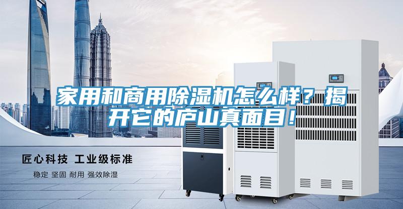 家用和商用除濕機(jī)怎么樣？揭開(kāi)它的廬山真面目！