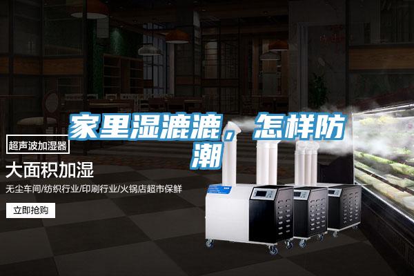 家里濕漉漉，怎樣防潮