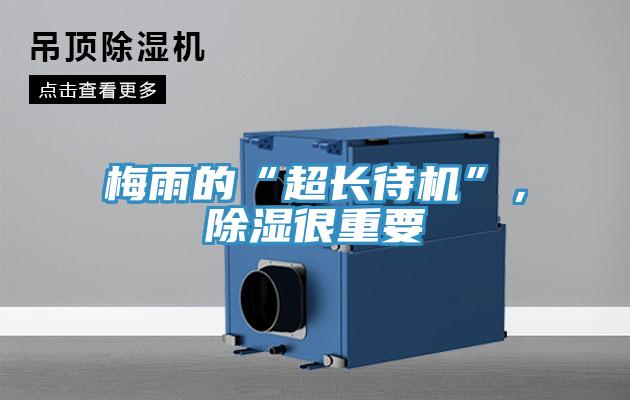 梅雨的“超長待機”，除濕很重要