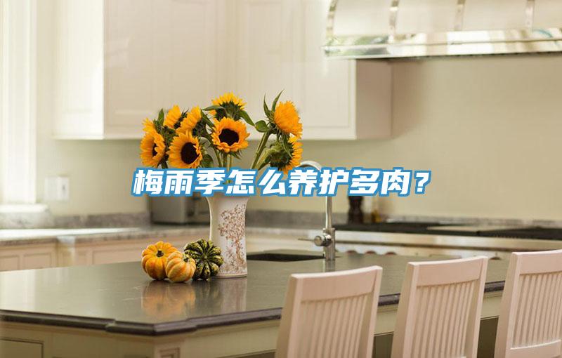 梅雨季怎么養(yǎng)護多肉？