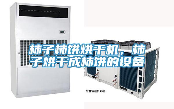 柿子柿餅烘干機，柿子烘干成柿餅的設備