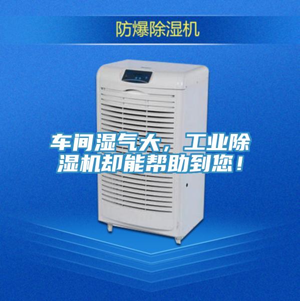 車間濕氣大，工業(yè)除濕機卻能幫助到您！