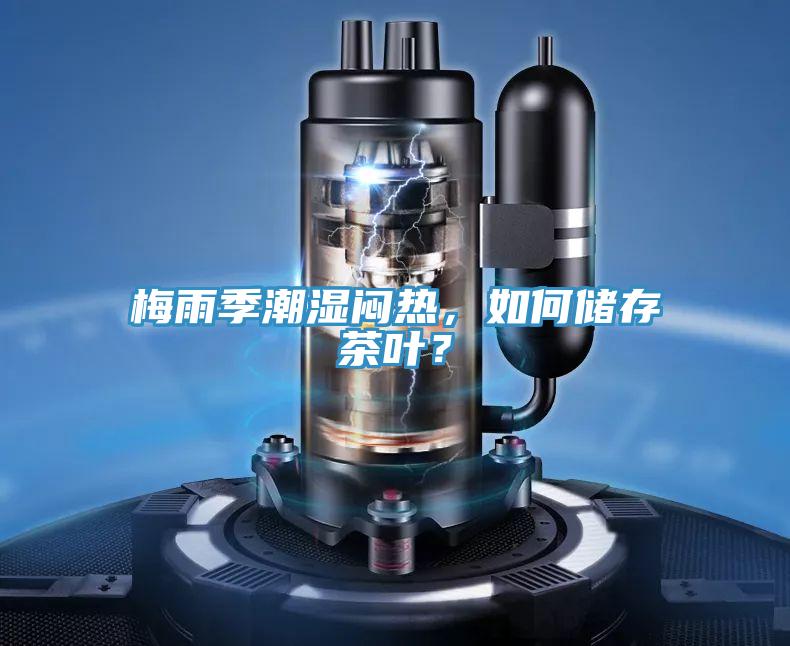 梅雨季潮濕悶熱，如何儲存茶葉？