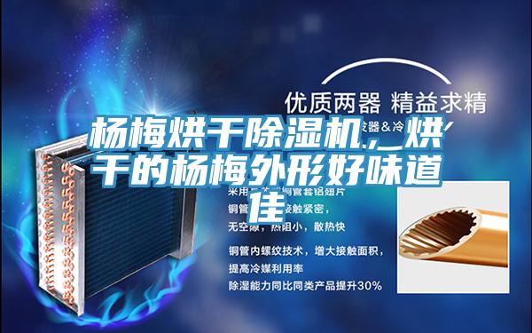 楊梅烘干除濕機(jī)，烘干的楊梅外形好味道佳