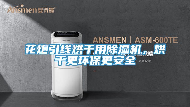 花炮引線烘干用除濕機，烘干更環保更安全