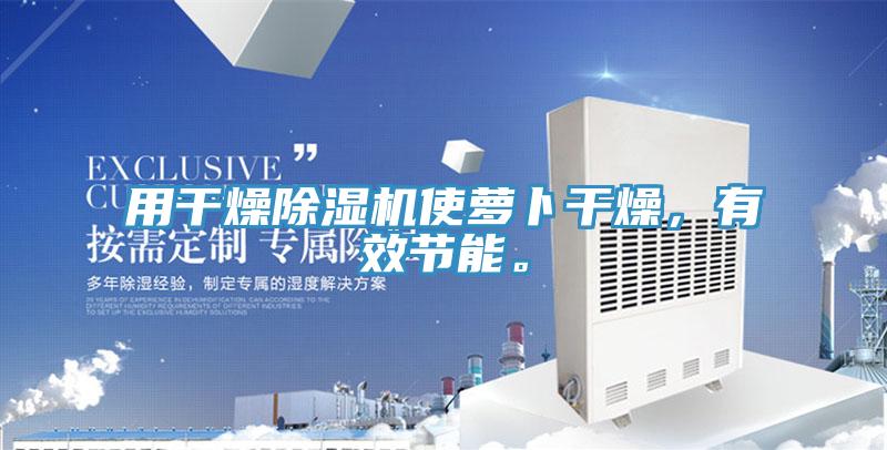 用干燥除濕機(jī)使蘿卜干燥，有效節(jié)能。