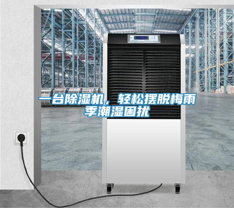 一臺除濕機，輕松擺脫梅雨季潮濕困擾