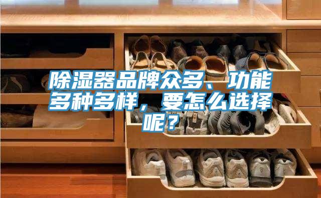 除濕器品牌眾多、功能多種多樣，要怎么選擇呢？