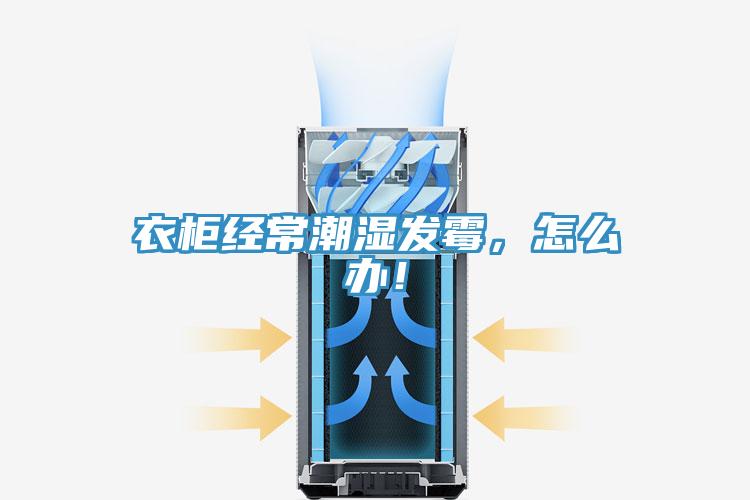 衣柜經常潮濕發霉，怎么辦！