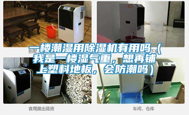 一樓潮濕用除濕機有用嗎（我是一樓濕氣重，想再鋪上塑料地板，會防潮嗎）