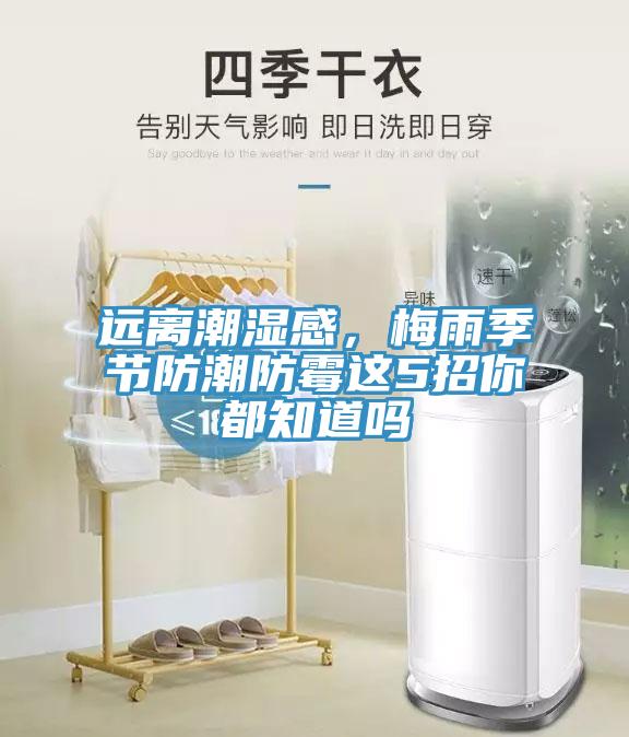 遠離潮濕感，梅雨季節防潮防霉這5招你都知道嗎