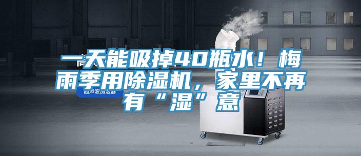 一天能吸掉40瓶水！梅雨季用除濕機，家里不再有“濕”意