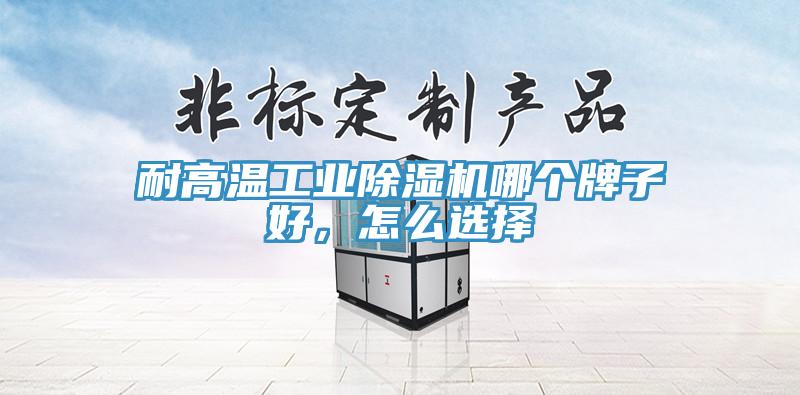 耐高溫工業除濕機哪個牌子好，怎么選擇