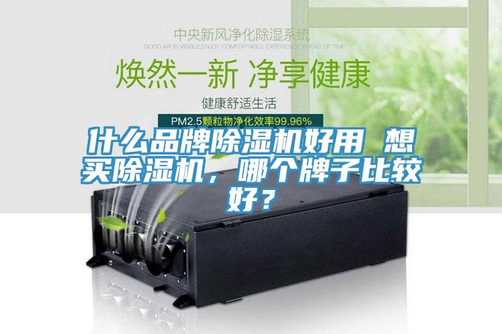 什么品牌除濕機好用 想買除濕機，哪個牌子比較好？