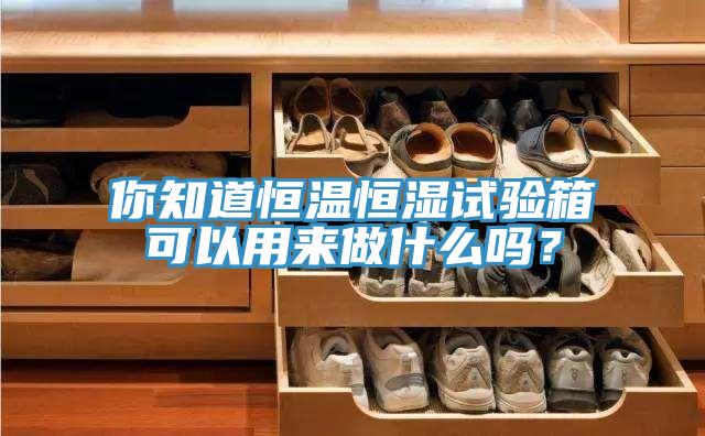 你知道恒溫恒濕試驗(yàn)箱可以用來(lái)做什么嗎？