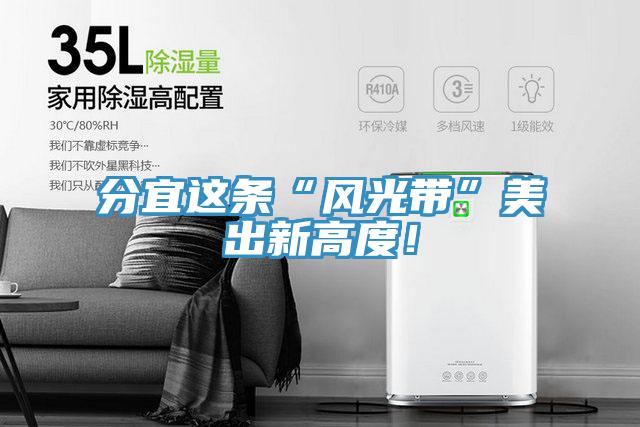 分宜這條“風光帶”美出新高度！