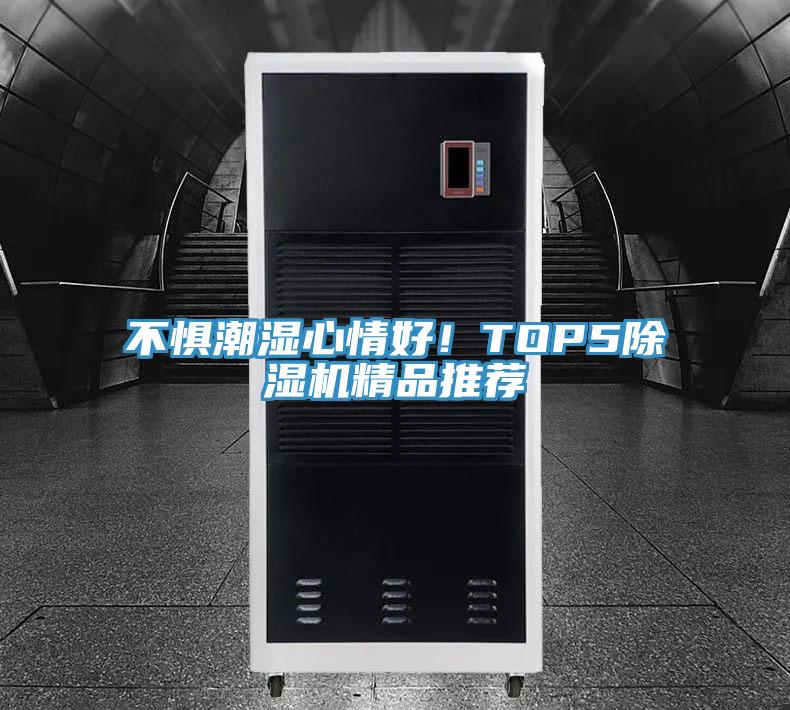 不懼潮濕心情好！TOP5除濕機精品推薦