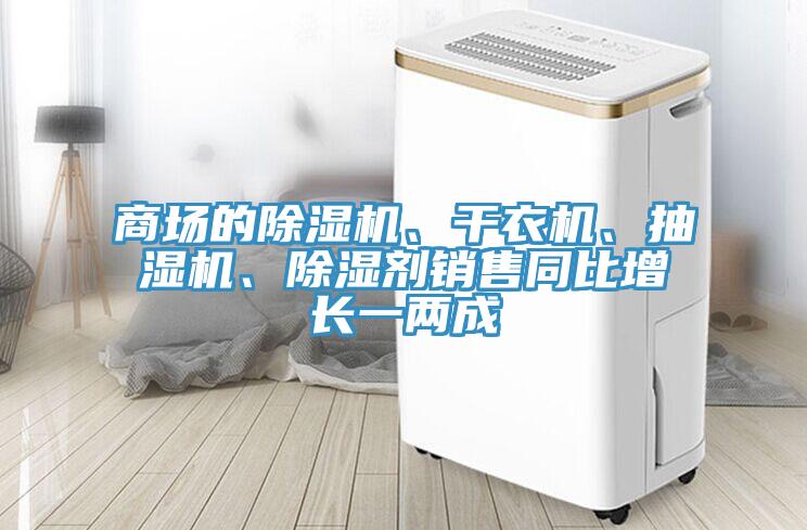 商場的除濕機、干衣機、抽濕機、除濕劑銷售同比增長一兩成