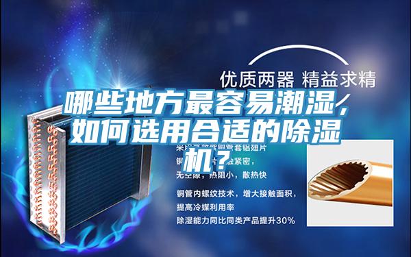 哪些地方最容易潮濕，如何選用合適的除濕機？