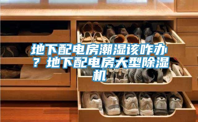 地下配電房潮濕該咋辦？地下配電房大型除濕機(jī)
