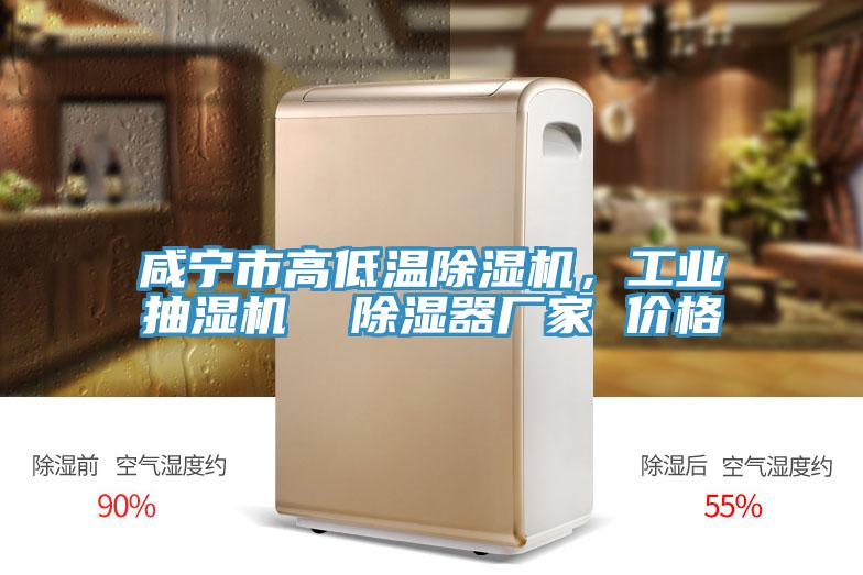 咸寧市高低溫除濕機(jī)，工業(yè)抽濕機(jī)  除濕器廠家 價格