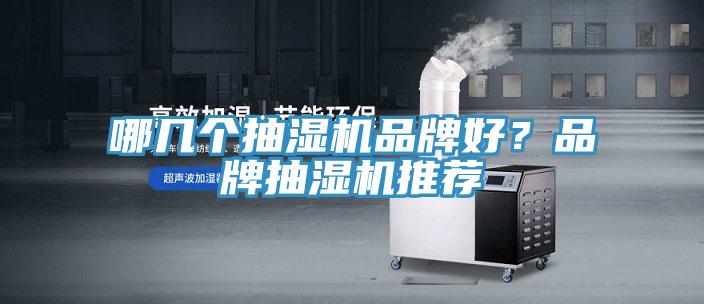 哪幾個抽濕機品牌好？品牌抽濕機推薦