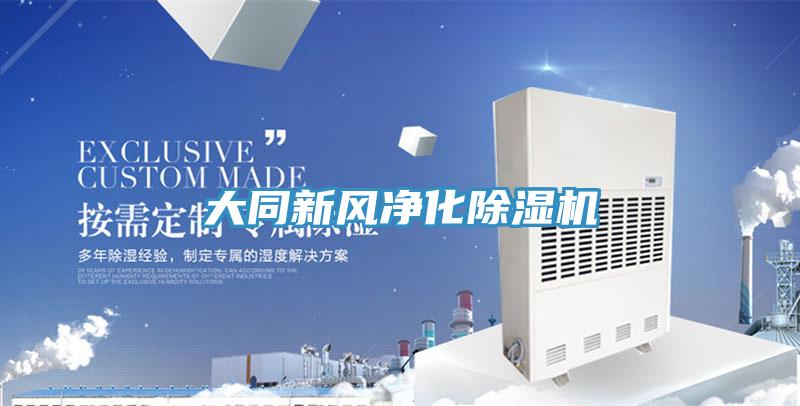 大同新風(fēng)凈化除濕機(jī)