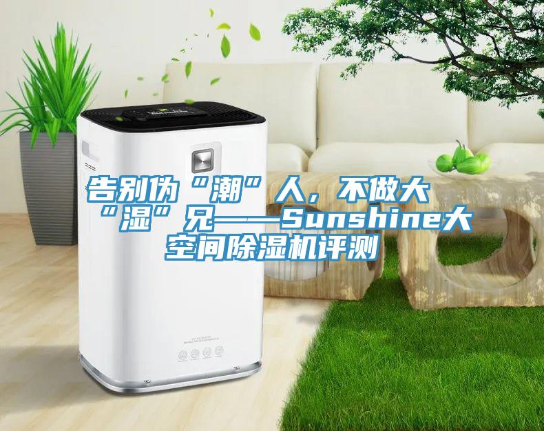 告別偽“潮”人，不做大“濕”兄——Sunshine大空間除濕機評測