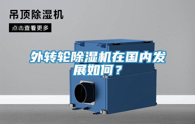 外轉輪除濕機在國內發展如何？