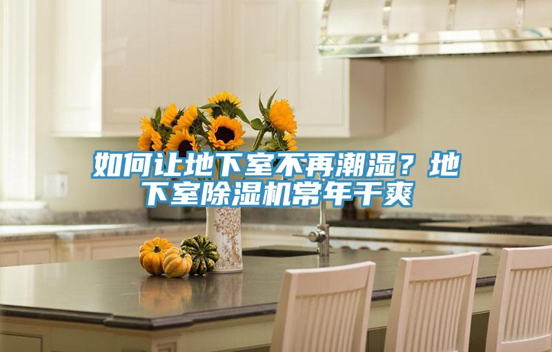如何讓地下室不再潮濕？地下室除濕機常年干爽