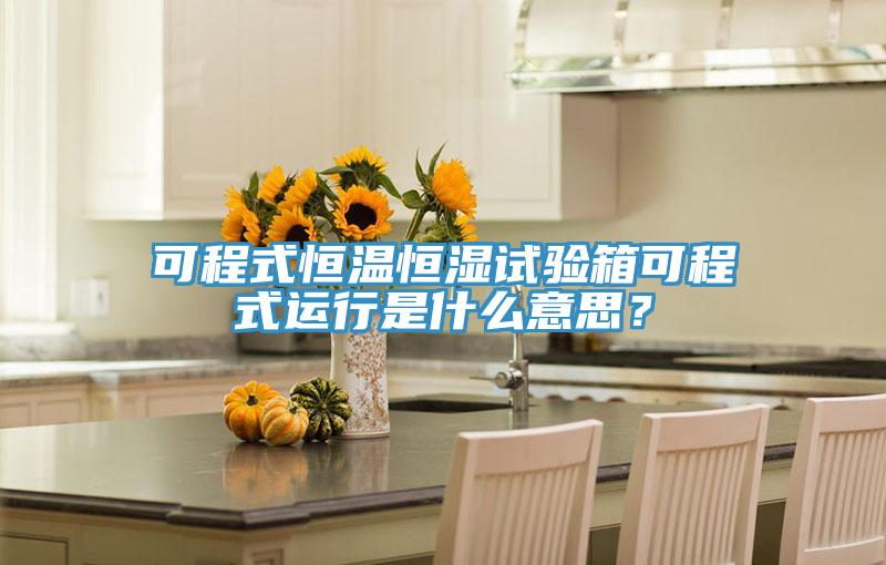 可程式恒溫恒濕試驗(yàn)箱可程式運(yùn)行是什么意思？