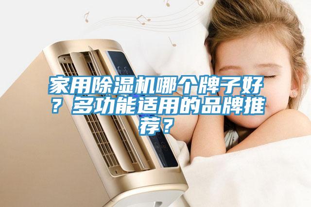 家用除濕機哪個牌子好？多功能適用的品牌推薦？