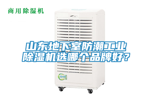 山東地下室防潮工業(yè)除濕機(jī)選哪個(gè)品牌好？