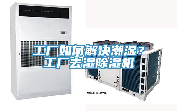工廠如何解決潮濕？工廠去濕除濕機