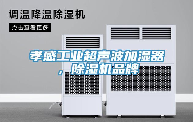 孝感工業超聲波加濕器，除濕機品牌