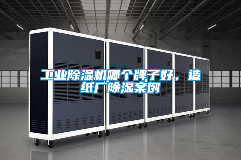 工業除濕機哪個牌子好，造紙廠除濕案例