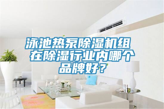 泳池熱泵除濕機組 在除濕行業(yè)內(nèi)哪個品牌好？