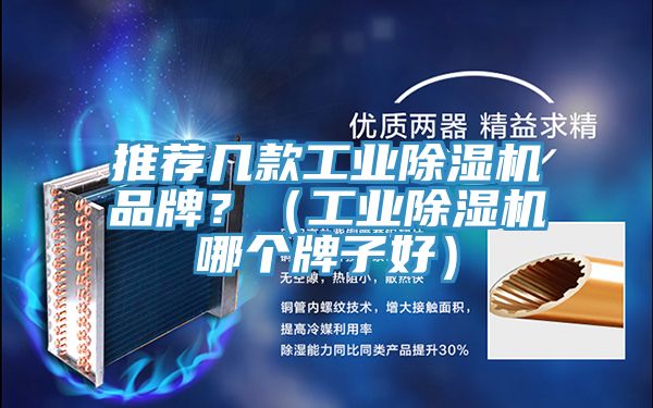 推薦幾款工業除濕機品牌？（工業除濕機哪個牌子好）