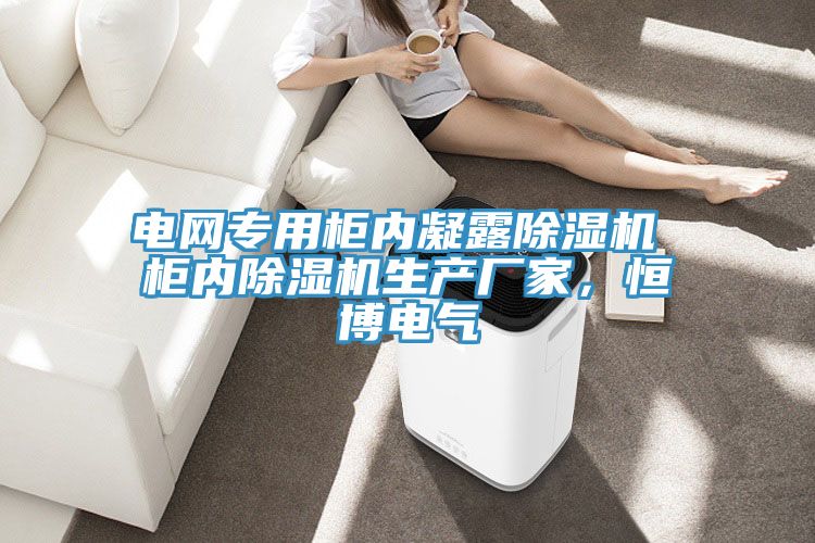 電網(wǎng)專(zhuān)用柜內(nèi)凝露除濕機(jī) 柜內(nèi)除濕機(jī)生產(chǎn)廠(chǎng)家，恒博電氣
