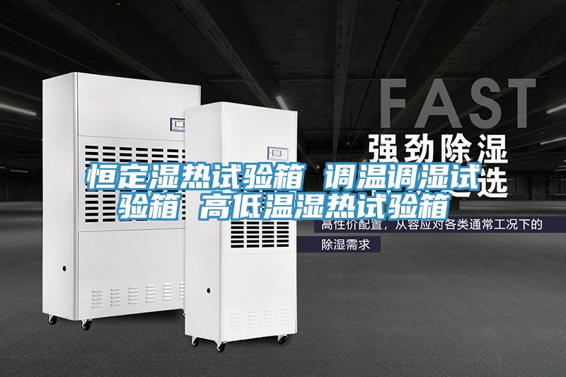 恒定濕熱試驗箱 調(diào)溫調(diào)濕試驗箱 高低溫濕熱試驗箱