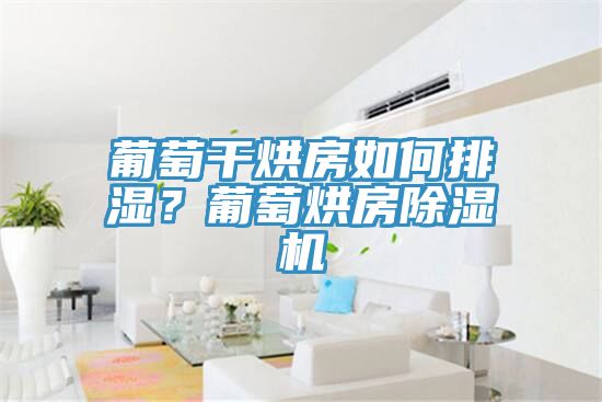 葡萄干烘房如何排濕？葡萄烘房除濕機(jī)