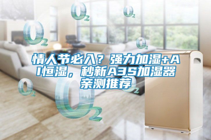 情人節必入？強力加濕+AI恒濕，秒新A3S加濕器親測推薦