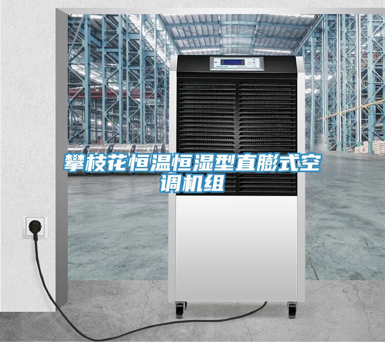 攀枝花恒溫恒濕型直膨式空調機組