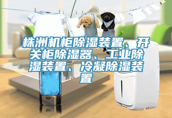 株洲機柜除濕裝置、開關柜除濕器、工業除濕裝置、冷凝除濕裝置